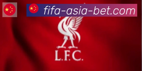 FIFA世界杯买球入口合作伙伴